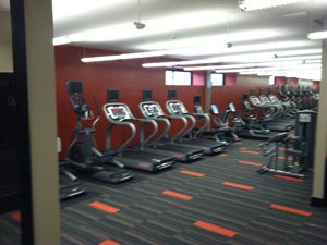 Half Moon Harbor Workout corner small space for cardio and exercise during any time