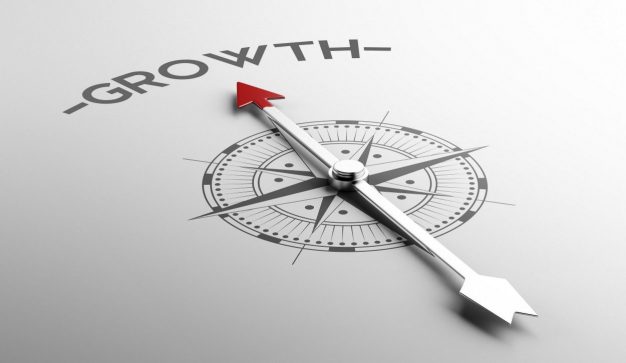 growth growth meter