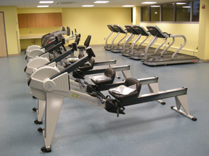 cycle and rowing machines and treadmills in small gym area