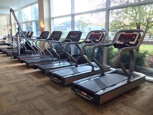 Pieces of cardio equipment against a wall of windows