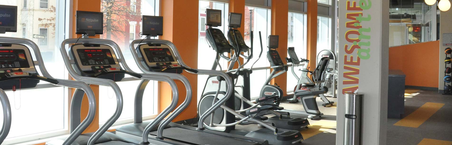 a line of treadmills along an orange wall with windows letting light in